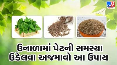 ઉનાળામાં પેટ ભરેલું અને ફૂલેલું રહે છે ? અજમાવો આ ઉપાય, 2 મિનિટમાં જ મટાડશે ગેસ, એસીડીટી અને અપચો
