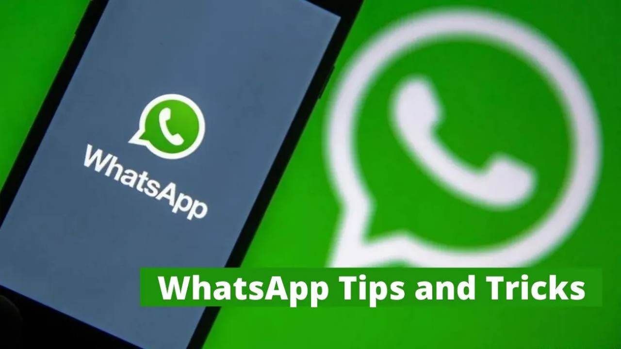 Tech Tips: WhatsApp પર જરૂરી ચેટને નહીં કરવી પડે વારંવાર સર્ચ, જાણી લો ચેટ પિન કરવાની આ રીત