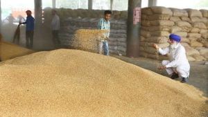 ઘઉંની નિકાસમાં ભારત બનાવી શકે છે રેકોર્ડ, ખેડૂતોને પણ થશે ફાયદો, કિંમત MSP કરતાં વધી ગઈ