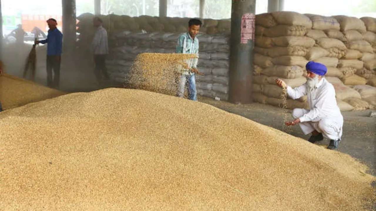 દેશના અનેક રાજ્યોમાં શરૂ થઈ MSP પર ઘઉંની ખરીદી, આ રાજ્યોમાં ટેકાના ભાવ કરતા વધુ મળી રહી છે કિંમત