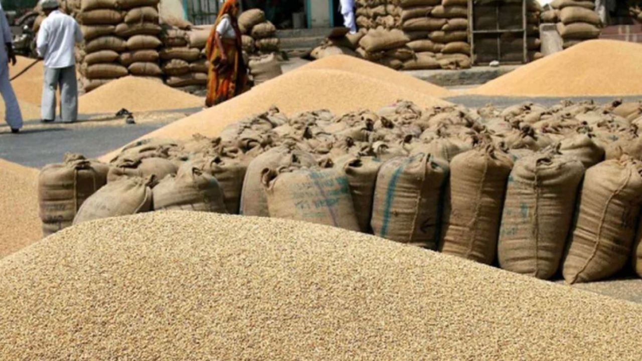Agricultural Exports: ભારતની કૃષિ નિકાસમાં 23 ટકાનો વધારો, ભારતીય ઘઉંની માગમાં જોરદાર ઉછાળો