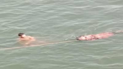 દાદરાનગર હવેલી: યુવતીએ મોતને વ્હાલુ કરવા નદીમાં છલાંગ લગાવી, સ્થાનિક યુવકના સાહસે તેની જીંદગી બચાવી