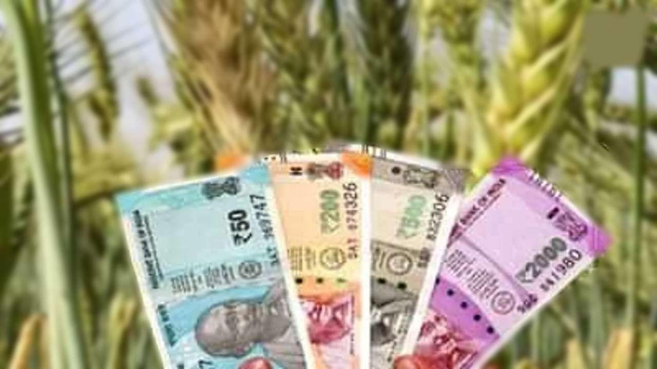 નાણાકીય વર્ષના પ્રથમ 10 મહિનામાં ભારતીય કૃષિ ઉત્પાદનોની નિકાસમાં 25 ટકાનો ઉછાળો