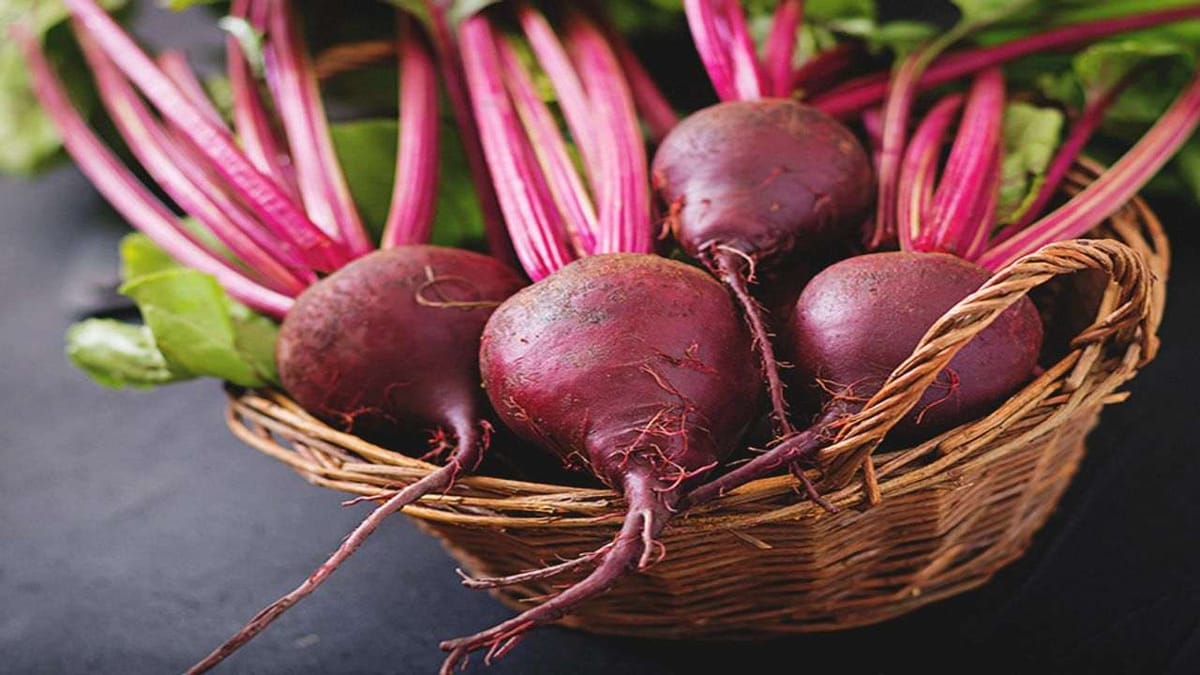 Beetroot Benefits: ફક્ત સ્વાસ્થ્ય માટે જ નહીં ત્વચા માટે પણ અત્યંત લાભદાયી છે બીટ