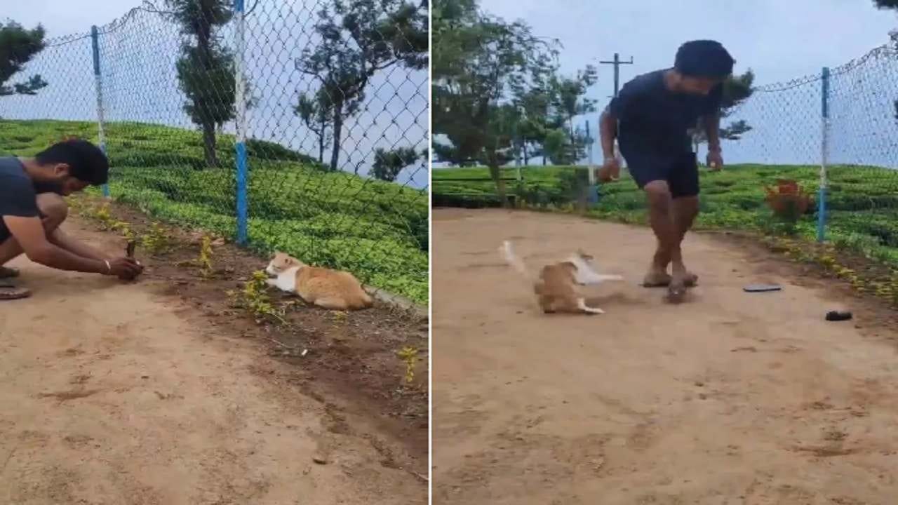 Viral: બિલાડીને યુવકની ફોટો પાડવાની સ્ટાઈલ ન આવી પસંદ, કર્યું કંઈક આવું, જુઓ Funny Video