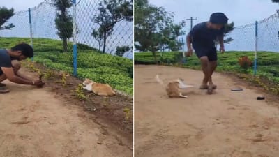 Viral: બિલાડીને યુવકની ફોટો પાડવાની સ્ટાઈલ ન આવી પસંદ, કર્યું કંઈક આવું, જુઓ Funny Video