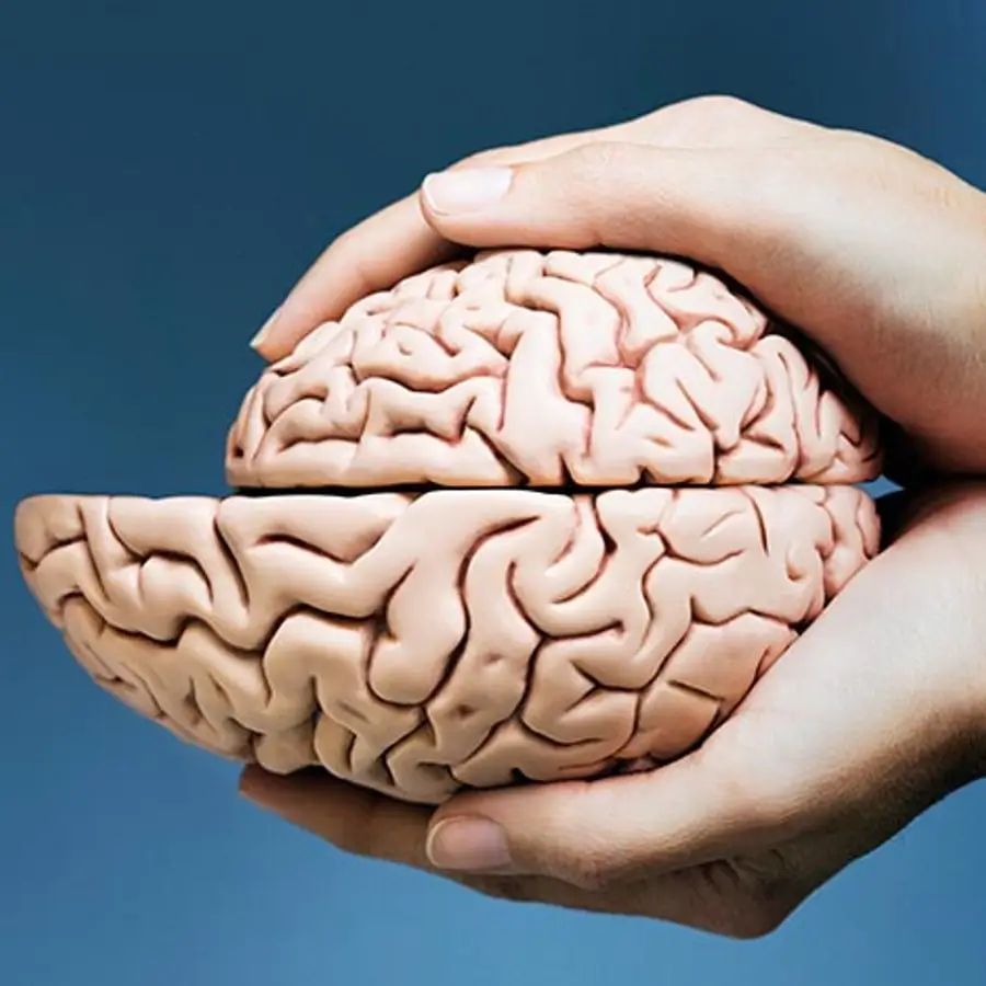 કોરોના વાયરસ મગજ પર શું અસર કરે છે તે સમજવા માટે, વૈજ્ઞાનિકોએ 51 થી 81 વર્ષની વયના 785 લોકોના બ્રેનની તપાસ કરી. સંશોધનમાં 401 દર્દીઓ સામેલ હતા જેમને મગજ સ્કેન પહેલા અથવા તેની વચ્ચે કોરોના થયો હતો.