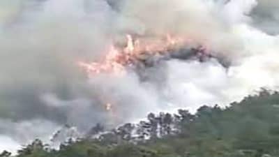 China Plane Crash: ચીનમાં ક્રેશ થયેલા વિમાનમાં સવાર તમામ 132 લોકોના મોતની પુષ્ટિ, જાણો સમગ્ર વિગત