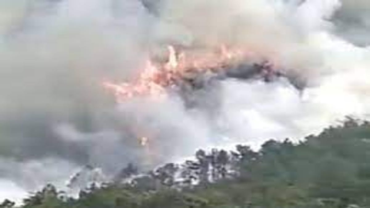 China Plane Crash: ચીનમાં ક્રેશ થયેલા વિમાનમાં સવાર તમામ 132 લોકોના મોતની પુષ્ટિ, જાણો સમગ્ર વિગત