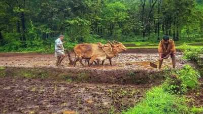 પ્રાકૃતિક ખેતી કરતા ધરતીપુત્રોને સરકાર આપશે મોટી ભેટ, ખેડૂતોને પ્રતિ હેક્ટર મળશે 32,500 રૂપિયા