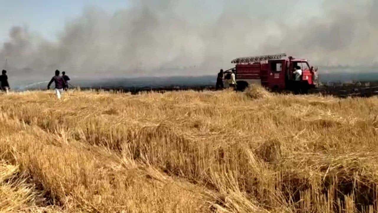 Devbhumi Dwarka: ખંભાળિયા તાલુકાના ધંધુસર ગામમાં 150 વીઘાના ખેતરમાં 70 વિઘાના ઘઉંના પાકમાં આગ લાગતા બળીને ખાખ