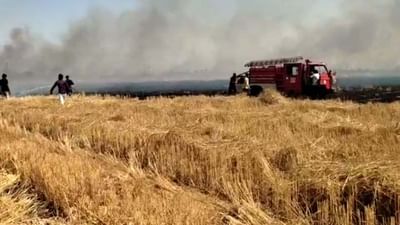 Devbhumi Dwarka: ખંભાળિયા તાલુકાના ધંધુસર ગામમાં 150 વીઘાના ખેતરમાં 70 વિઘાના ઘઉંના પાકમાં આગ લાગતા બળીને ખાખ