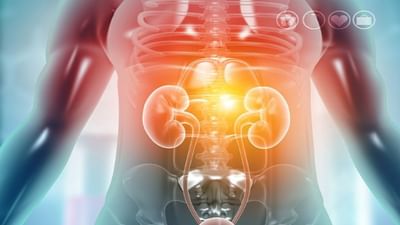 Kidney Care: કિડનીના રોગના આ રહ્યા પ્રારંભિક લક્ષણો જેનાથી સાવચેત રહેવાની છે જરૂર