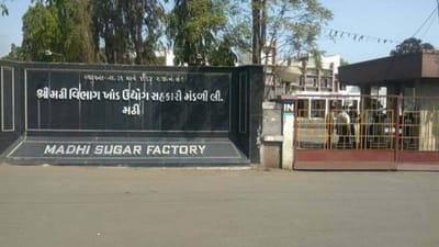 Surat :  શેરડી કાપણીમાં ગેરવહીવટને પગલે સભાસદોને કરોડોનું નુકસાન, પ્રમુખ-ઉપપ્રમુખના રાજીનામાની માગ