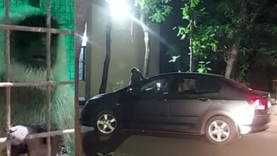 Bharuch : તોફાને ચડેલા કપિરાજે 15 લોકોને ઘાયલ કર્યા, આખરે વનવિભાગે પાંજરામાં કેદ કર્યા