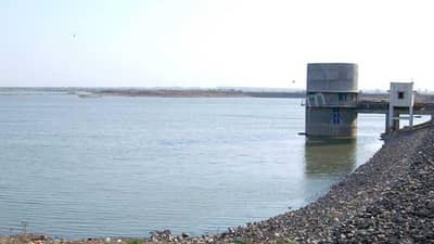 Rajkot:  જળસંકટ થયું હળવું, ન્યારીમાં નર્મદાના નીરનું આગમન