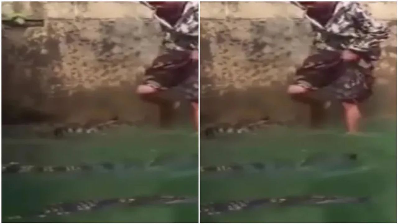 Viral Video: મગરથી ભરેલા તળાવમાં વ્યક્તિએ ઝંપલાવ્યું, પછી જે થયું તે જોઈને લોકોએ કહ્યું- 'યે હૈ ખતરો કે ખેલાડી'
