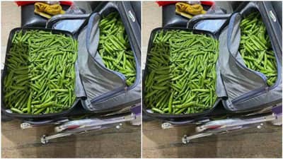 એરપોર્ટ પર સિક્યોરિટી ચેકિંગ દરમિયાન IPSની બેગમાંથી મળી આવી વસ્તુ, તસવીર જોઈ લોકોએ કહ્યું આ તો તસ્કરીનો મામલો લાગે છે