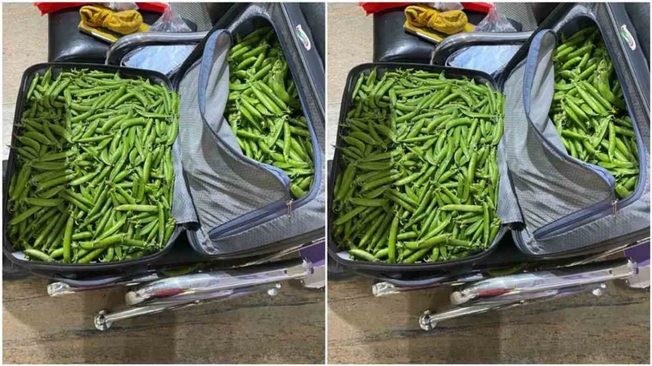 એરપોર્ટ પર સિક્યોરિટી ચેકિંગ દરમિયાન IPSની બેગમાંથી મળી આવી વસ્તુ, તસવીર જોઈ લોકોએ કહ્યું 'આ તો તસ્કરીનો મામલો લાગે છે'