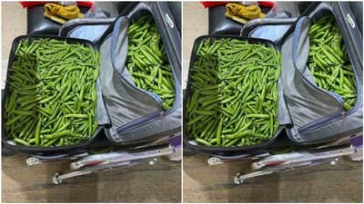 એરપોર્ટ પર સિક્યોરિટી ચેકિંગ દરમિયાન IPSની બેગમાંથી મળી આવી વસ્તુ, તસવીર જોઈ લોકોએ કહ્યું 'આ તો તસ્કરીનો મામલો લાગે છે'