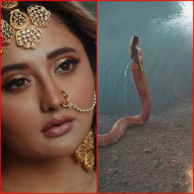 રશ્મિ દેસાઈએ હવે કલર્સ ટીવી સિરિયલ 'નાગિન 6'માં (Naagin 6) એન્ટ્રી કરી છે. રશ્મિ (Rashmi Desai) આ શોની 'લાલ નાગિન' બની ગઈ છે. જે બાકીના નાગ એટલે કે પ્રથાને પોતાના ઝેરથી મારી શકે છે. તે મનુષ્યો દ્વારા બનાવવામાં આવેલ 'ઝેરી' નાગ છે અને તેને શલાકા નાગીનનો ચહેરો આપવામાં આવ્યો છે.