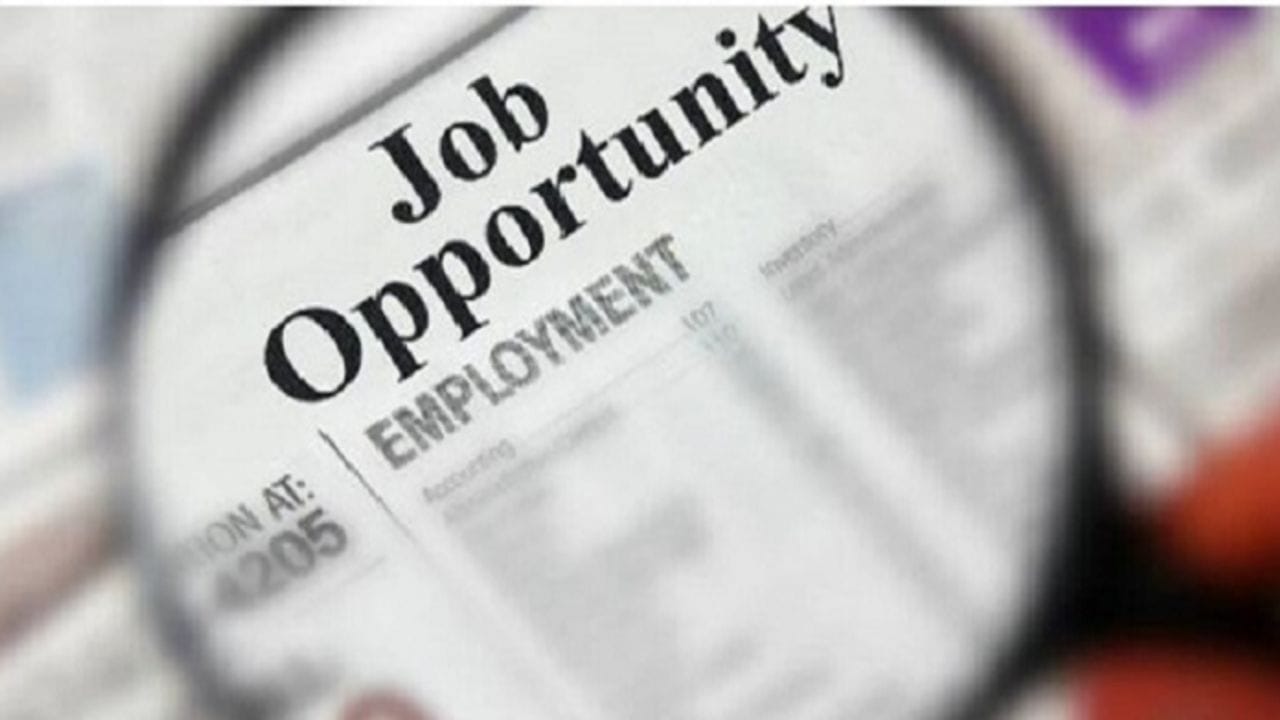 રાજ્ય સરકાર દ્વારા વધુ એક ભરતી બહાર પાડવામાં આવી, જાણો કઈ પોસ્ટ પર મંગાવાઈ છે અરજી રાજ્ય સરકાર દ્વારા વધુ એક ભરતી બહાર પાડવામાં આવી, જાણો કઈ પોસ્ટ પર મંગાવાઈ છે અરજી