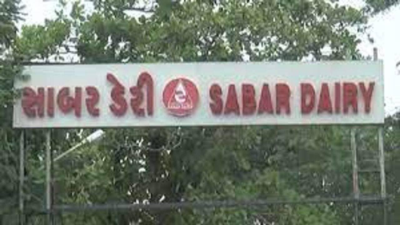 સાબર ડેરીએ એક મહિનામાં બીજી વાર વધાર્યા દૂધના ખરીદ ભાવ, પશુપાલકોમાં ખુશીનો માહોલ જોવા મળ્યો