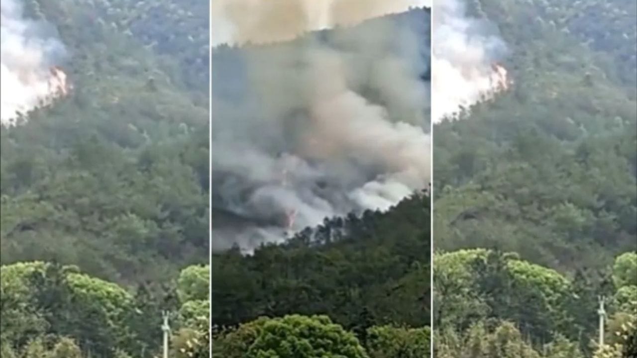 Plane Crash in China: ચીનમાં મોટી દુર્ઘટના, વિમાન ક્રેશ 135 મુસાફરો સવાર હતા