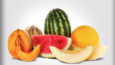 ઉનાળુ ફળો : માત્ર કેરી જ નહીં પણ આ ફળોનું સેવન પણ સ્વાસ્થ્યને આપશે ભરપૂર લાભો