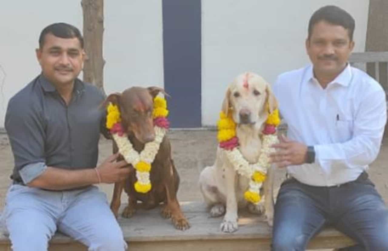 Surat: સુરત પોલીસની ડોગ સ્ક્વોડમાં ફરજ બજાવતા પ્રિન્સ અને અરુણા નિવૃત્ત : સુરત પોલીસે યોજ્યો વિદાય સમારંભ