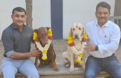 Surat: સુરત પોલીસની ડોગ સ્ક્વોડમાં ફરજ બજાવતા પ્રિન્સ અને અરુણા નિવૃત્ત : સુરત પોલીસે યોજ્યો વિદાય સમારંભ