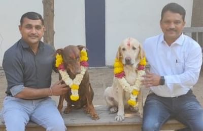 Surat: સુરત પોલીસની ડોગ સ્ક્વોડમાં ફરજ બજાવતા 'પ્રિન્સ' અને 'અરુણા' નિવૃત્ત : સુરત પોલીસે યોજ્યો વિદાય સમારંભ