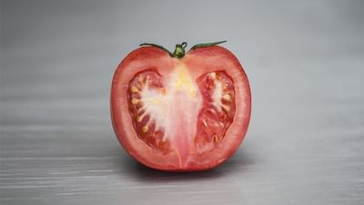 ટામેટાના બીજ ખાવાથી કિડની સ્ટોનની ગંભીર સમસ્યા થઇ શકે છે, જાણો બીજા નુકશાન વિશે