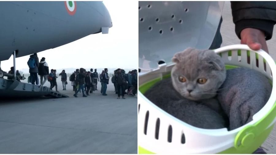 ભારતીય વિદ્યાર્થીઓએ રજૂ કર્યું 'માનવતા'નું અનોખુ ઉદાહરણ, ભારત યુક્રેનથી કૂતરા-બિલાડીઓ પણ લાવ્યા, કેન્દ્રીય મંત્રીએ કર્યું સ્વાગત