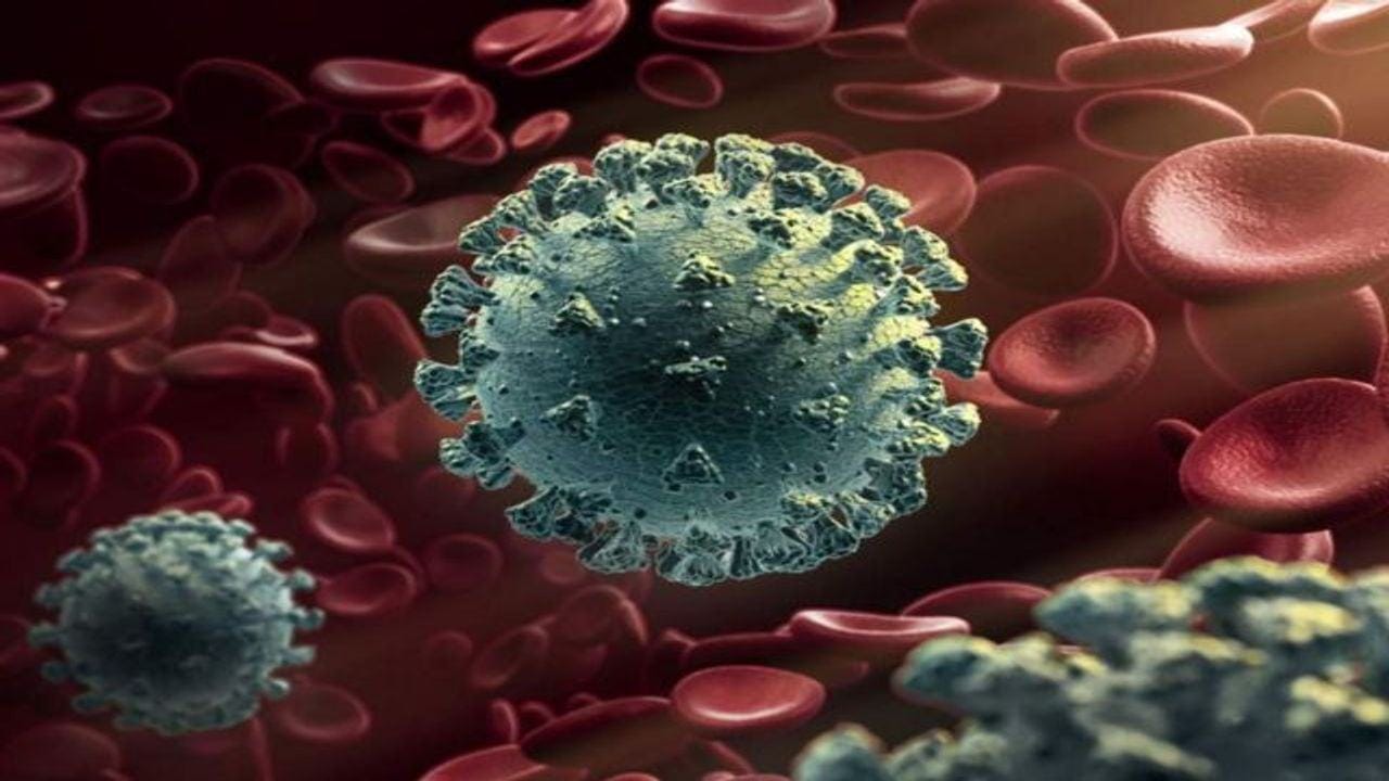 ગુજરાતમાં કોરોનાના વળતા પાણી, માત્ર 43 નવા કેસ નોંધાયા, 2 દર્દીના મોત ગુજરાતમાં કોરોનાના વળતા પાણી, માત્ર 43 નવા કેસ નોંધાયા, 2 દર્દીના મોત