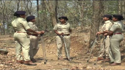 Women's Day : માંડવીના જંગલોની રક્ષામાં સતત ખડેપગે તૈનાત 7 મહિલા કર્મચારી, વાંચો જંગલની વાઘણોની કહાની