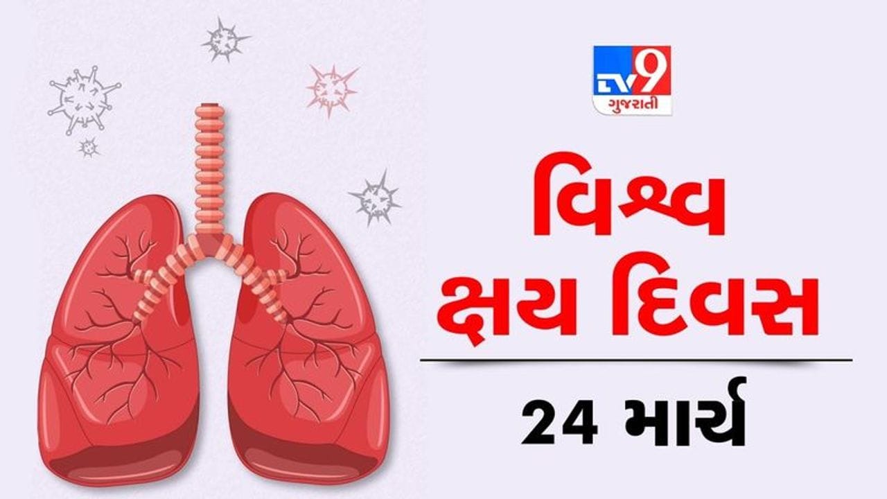 Ahmedabad: નરોડા, વટવા GIDC દ્વારા ટીબીના દર્દીઓની કરાશે ચિંતા, સરકાર દ્વારા બનાવાયેલી એપ્લિકેશનથી ટીબીના દર્દીઓની લેવાશે દરકાર
