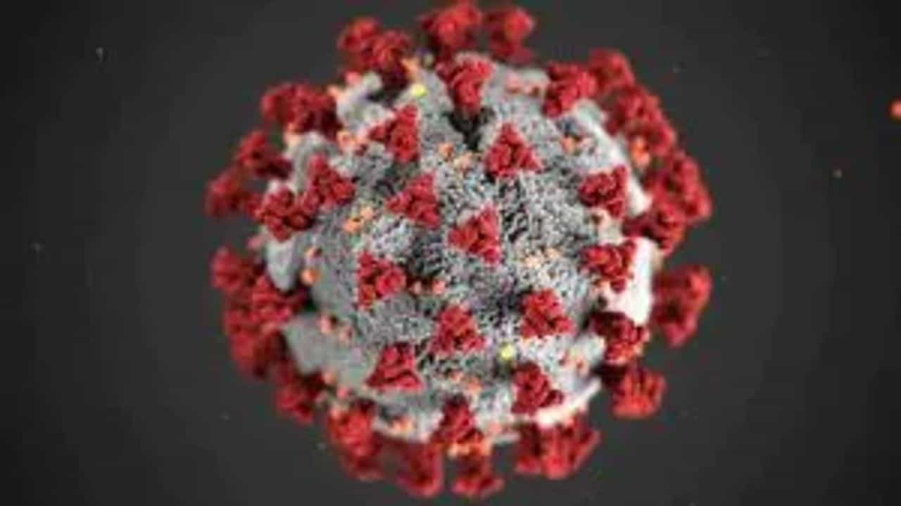 ગુજરાતમાં આજે કોરોનાના નવા 04 કેસ નોંધાયા, અમદાવાદમાં પ્રથમવાર એક પણ કેસ નહીં