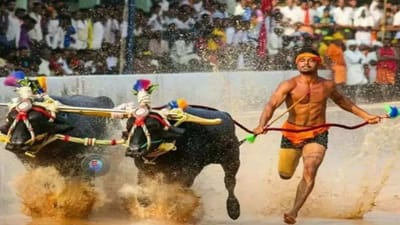 Kambala Racing: નિશાંત શેટ્ટીએ શ્રીનિવાસ ગૌડાનો રેકોર્ડ તોડી રચ્યો ઇતિહાસ, 8.36 સેકન્ડમાં પૂરી કરી 100 મીટરની રેસ