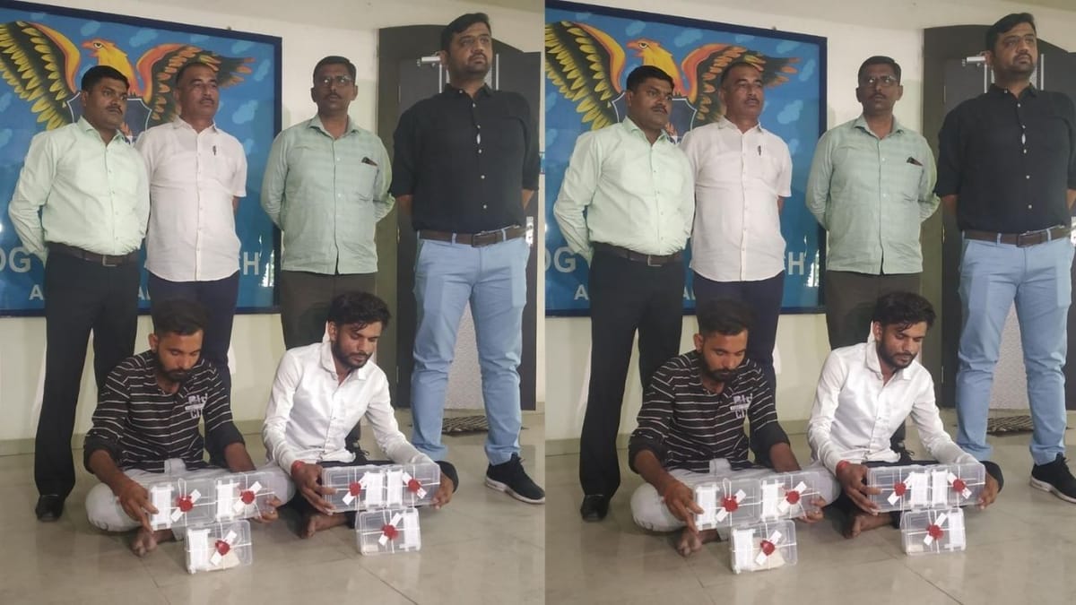 અમદાવાદમાંથી ફરી મોટા પ્રમાણમાં MD ડ્રગ્સનો જથ્થો ઝડપાયો, એસ.ઓ.જીની ટીમે બે આરોપીઓની કરી ધરપકડ