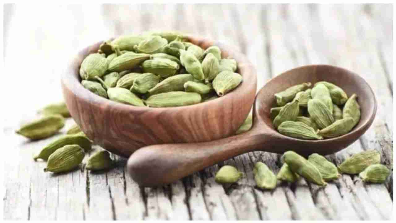 Benefits Of Cardamom: ઈલાયચી છે અનેક રોગો માટે રામબાણ, જાણો તેના સ્વાસ્થ્ય લાભો