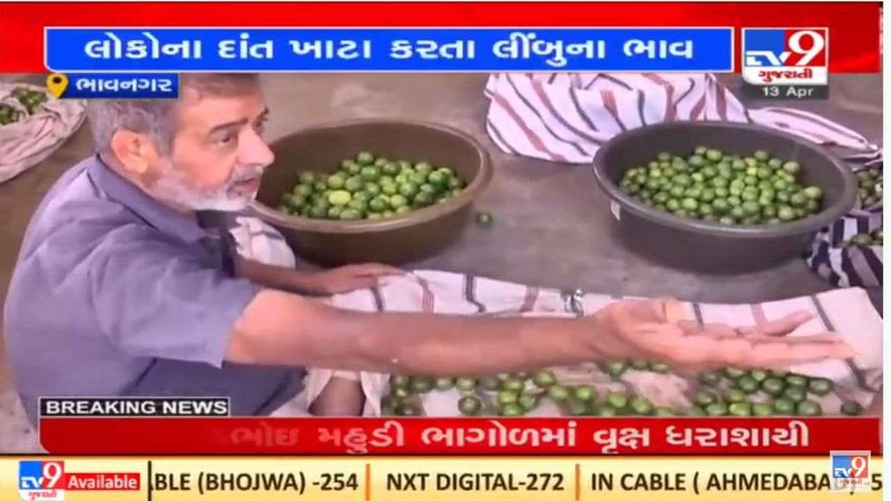Bhavnagar : ટુંક સમયમાં જ લીંબુના જથ્થાબંધ ભાવ ઘટવાનો વેપારીઓનો મત Bhavnagar : ટુંક સમયમાં જ લીંબુના જથ્થાબંધ ભાવ ઘટવાનો વેપારીઓનો મત