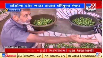 Bhavnagar : ટુંક સમયમાં જ લીંબુના જથ્થાબંધ ભાવ ઘટવાનો વેપારીઓનો મત