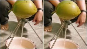 Viral: શખ્સે નારીયેળ પાણી કાઢવા લગાવ્યો ગજબનો જુગાડ, લોકોએ કહ્યું 'નેકસ્ટ લેવલ જુગાડ'