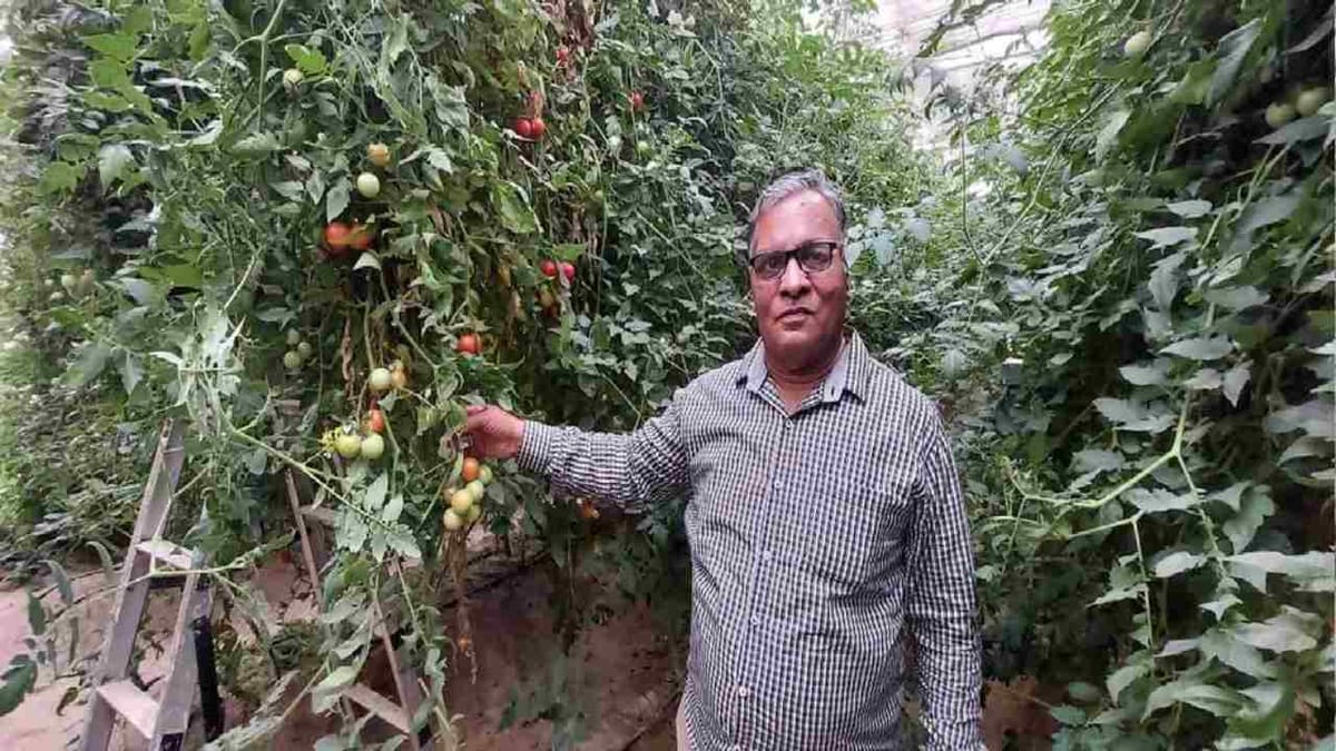 Success Story: મર્ચન્ટ નેવીમાંથી રિટાયર થયા બાદ શરૂ કરી ખેતી, પોલીહાઉસમાં કાકડી અને ટામેટાના પાક દ્વારા કરી લાખોની કમાણી