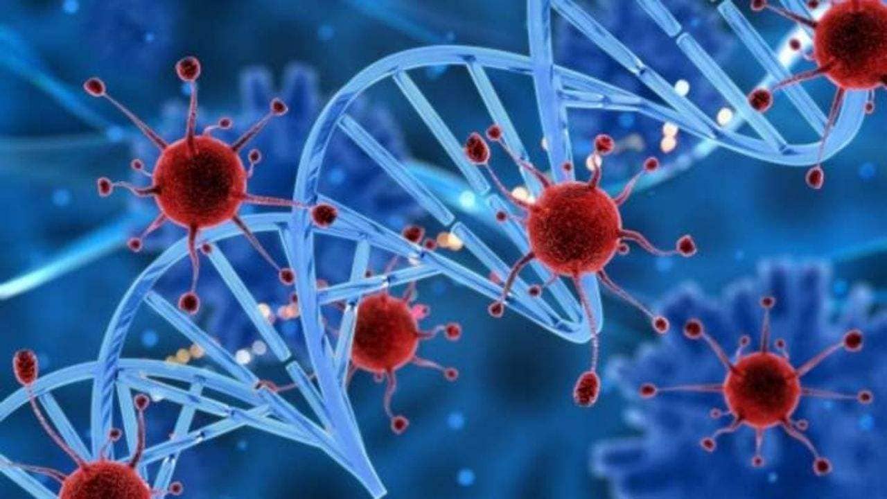 ગુજરાતમાં કોરોનાના કેસમાં રાફડો ફાટ્યો, નેશનલ લો યુનિવર્સિટીમાં નવા 34 કેસ નોંધાયા