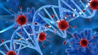 ગુજરાતમાં કોરોનાના કેસમાં રાફડો ફાટ્યો, નેશનલ લો યુનિવર્સિટીમાં નવા 34 કેસ નોંધાયા