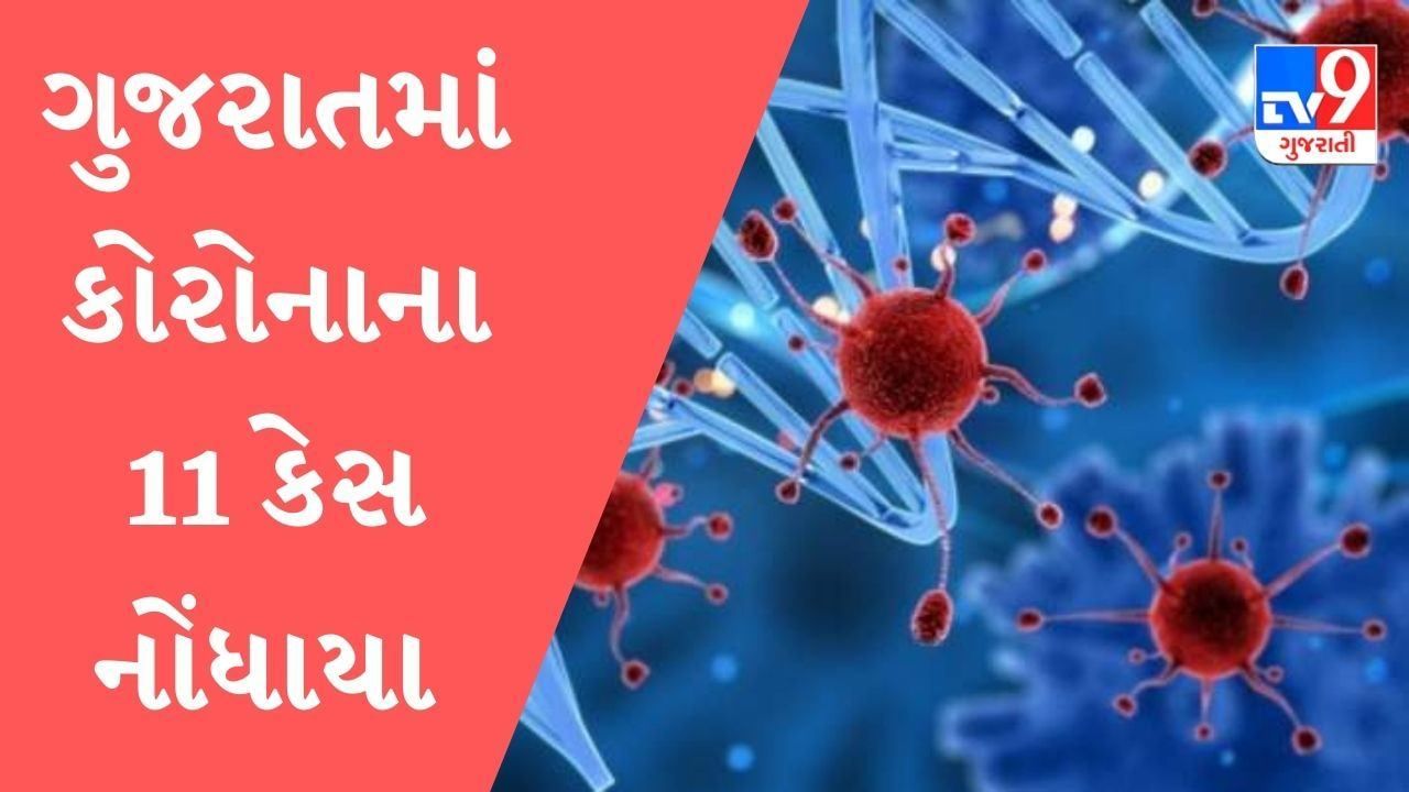 ગુજરાતમાં કોરોનાના નવા 11 કેસ, 16 દર્દીઓ સાજા થયા