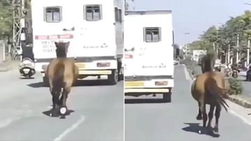 Viral: રસ્તા પર એમ્બ્યુલન્સની પાછળ દોડતો નજર આવ્યો ઘોડો, કારણ જાણી થઈ જશો ભાવુક
