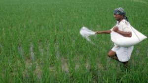 Surat: ખાતરની સબસિડીમાં વધારો થતાં દક્ષિણ ગુજરાતના ખેડૂતોને 200 કરોડનો ફાયદો થશે, ખેડૂતોમાં ખુશીની લહેર
